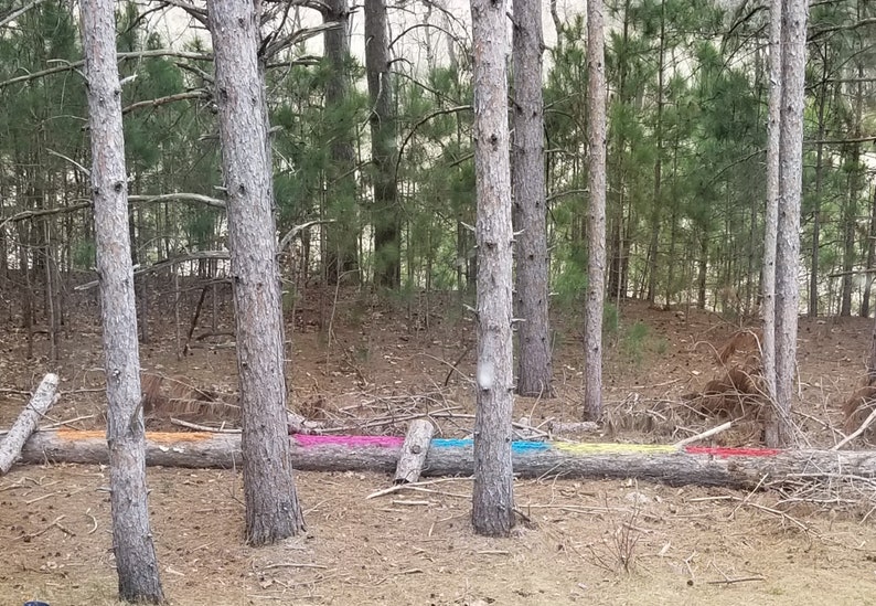 Small Oval Picture Frames PLASTIC Multiple Colors Colorful Etsy