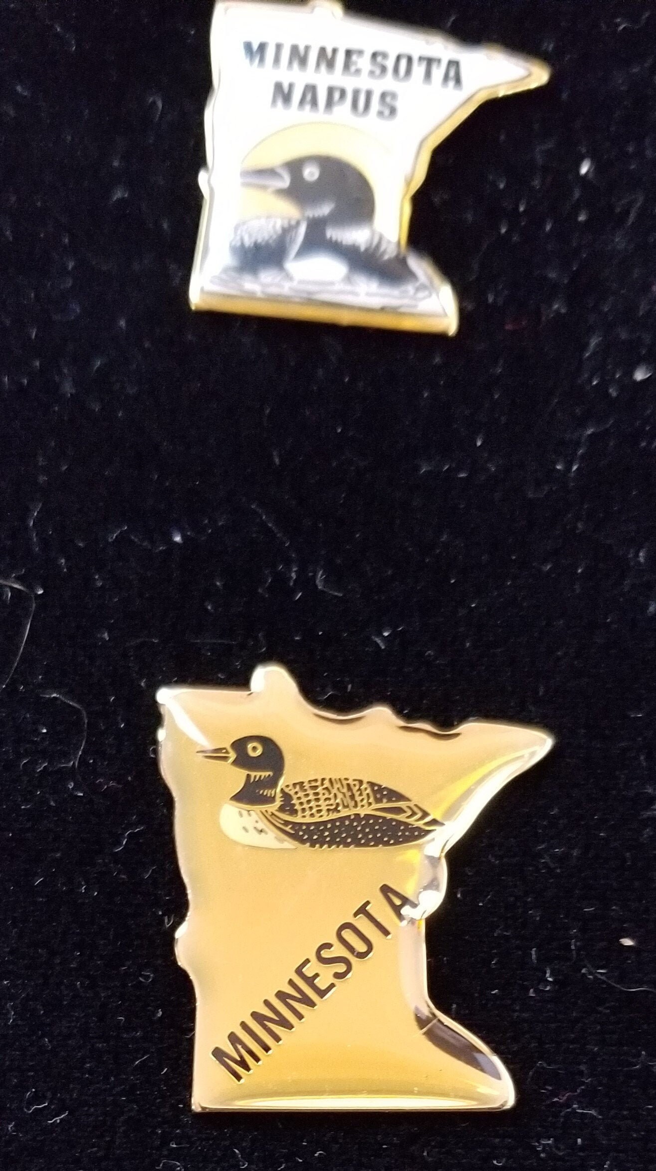 Revers Pins Minnesota Souvenir Pins Etsy