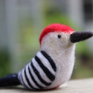 Red Bellied Woodpecker; Needle Felted Woodpecker; Woodland Woodpecker