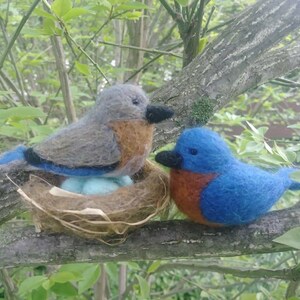 Bluebird pair; male and female bluebird mating pair with nest and eggs; handmade needle felted wool birds