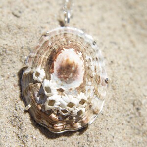 Shell Pendant; Handmade silver pendant with shell