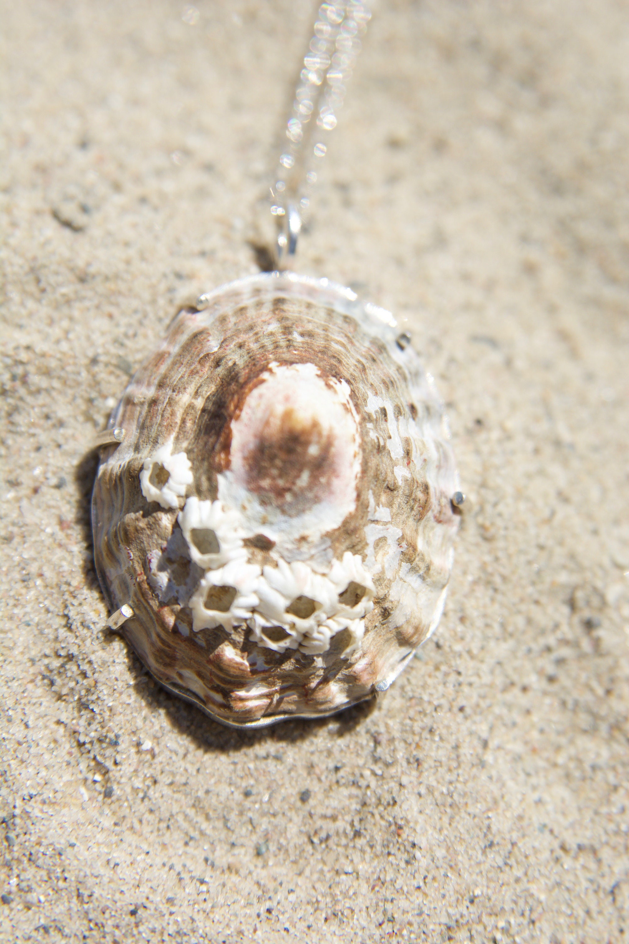ネックレス・ペンダント Shell Necklace (Silver) Simple Shell Pendant Necklace - 925 Sterling Silver – piercedowl