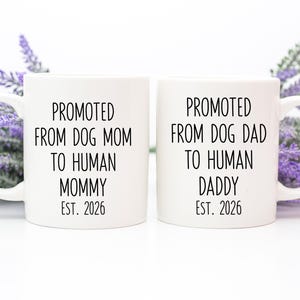 Promoted From Dog Mom To Human Mom, Promoted From Dog Dad To Baby Dad, New Mom Gift, Gift For New Parents, Announcement To Husband