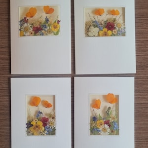 Conjunto de 4 cartões de flores secas reais, cartão de borboleta, cartões ecológicos, cartão com janela laminada, cartão de felicitações, cartão não impresso