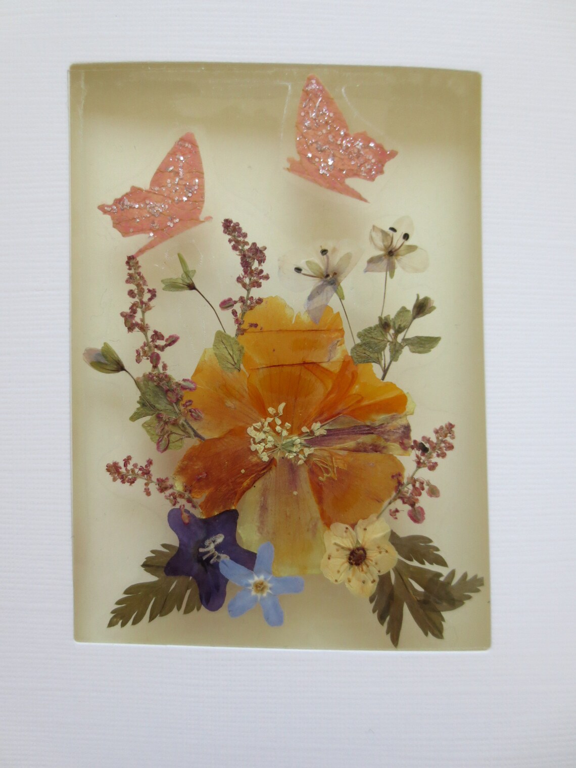 Set of 4 Real Dried Flowers Cards Assorted Cards Butterfly Etsy