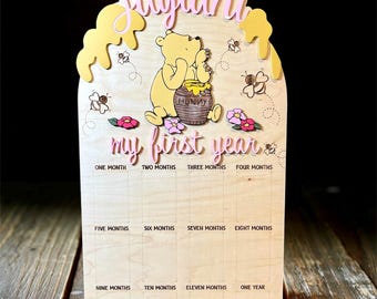 My First Year Photo Board, Pooh Bear First Birthday Party, Sweet One, 1st Birthday Sign, Baby Monthly Photos, Winnie the Pooh