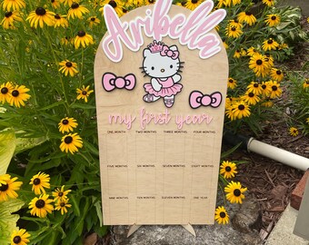 My First Year Photo Board, Hello Kitty Inspired First Birthday Party, Sweet One, 1st Birthday Sign, Baby Monthly Photos
