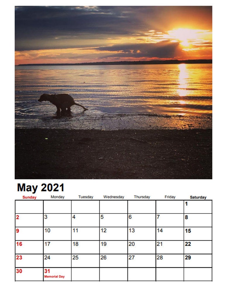 Pooping Dog Calendar 2022 instant download pdf Christmas | Etsy