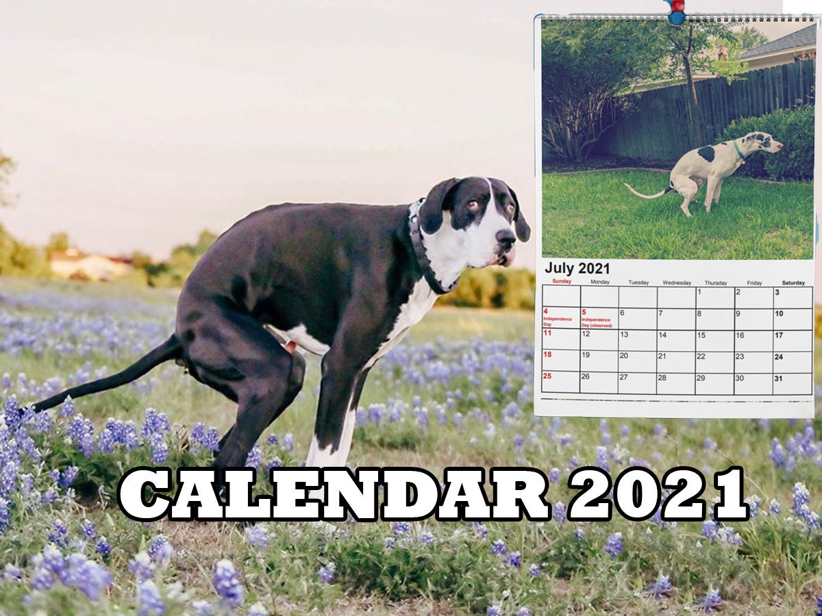 dog-calendar-2021-dog-poops-calendar-dog-calendar-instant-etsy