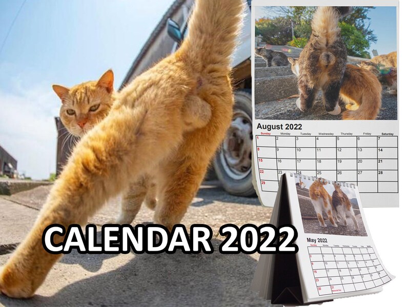 Cat Butt 2022 wall calendar cat gifts with cat butthole | Etsy