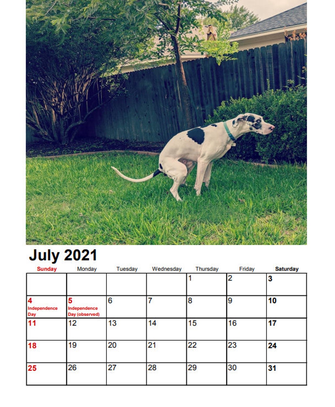 Pooping Dog Calendar 2022 instant download pdf Christmas Etsy