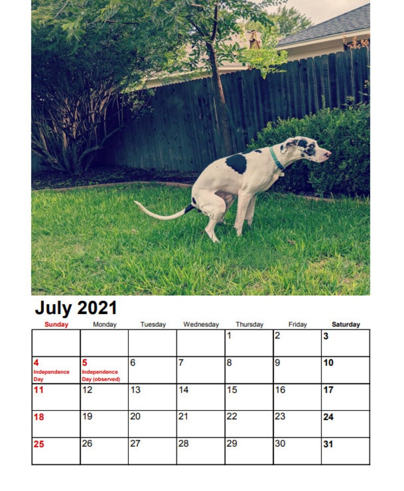 Pooping Dogs Calendar Printable Template Calendar
