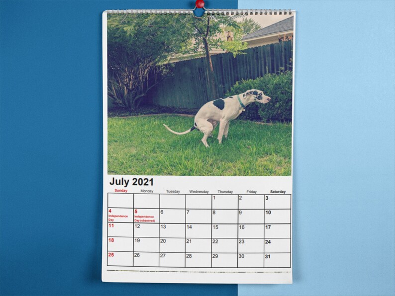 Dog Calendar 2022 dog poops calendar dog calendar instant | Etsy