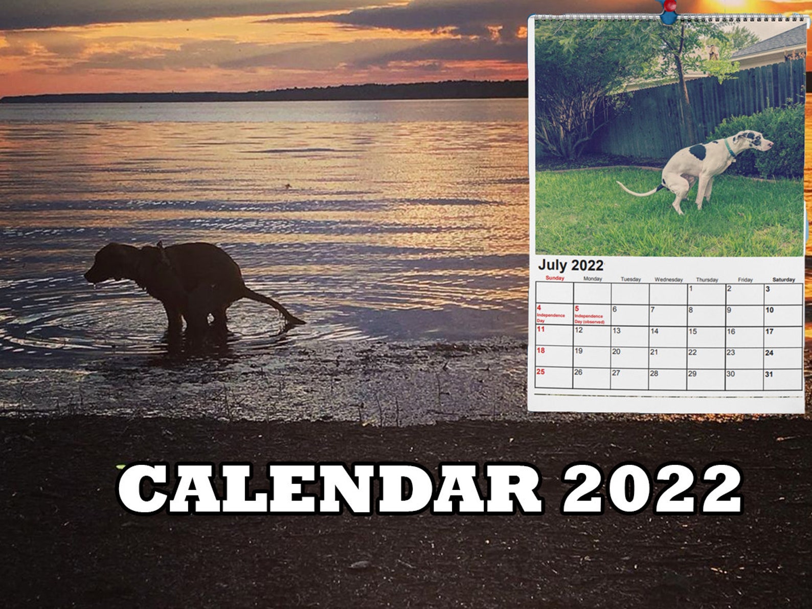 Pooping Dog Calendar 2022 instant download pdf Christmas Etsy