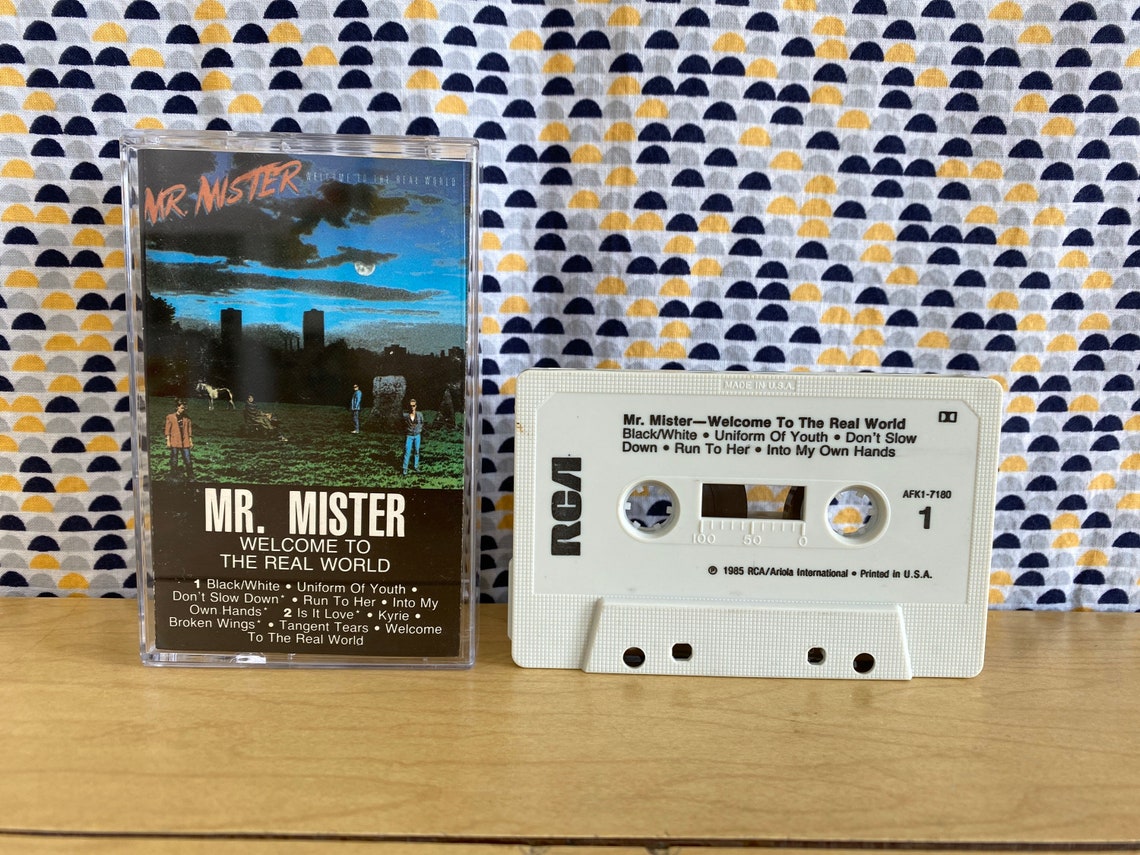 mr mister welcome to the real world rarest mr mister welcome to the real world rarest