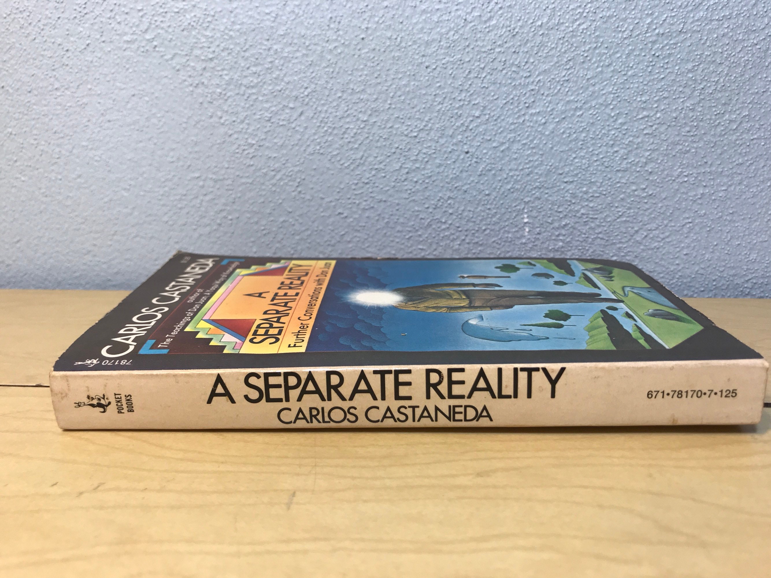 Carlos Castaneda A Separate Reality Further