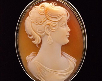 May include: A cameo pendant featuring a carved portrait of a woman with a detailed hairstyle. The cameo is set in a silver oval frame with a gold trim. The pendant is attached to a silver chain.