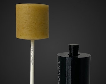 Cake Pop Mold/Plunger CYLINDER/Mini Cake - Made in USA