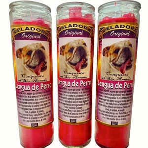Lengua de Perro Veladora Preparada con Aceites y Hierbas para el amor y dominar