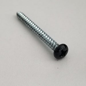 May include: A silver screw with a black, star-shaped head.