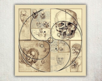 Da Vinci Kunstdruck | Leonardo Da Vinci Kunstwerk | Da Vinci Poster | Anatomie | Da Vinci Erfindungen | Da Vinci Skizzen | Menschlicher Körper Poster