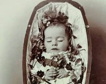 Antique Post Mortem Infant Casket Photo 320 Oddleys Strange & Bizarre