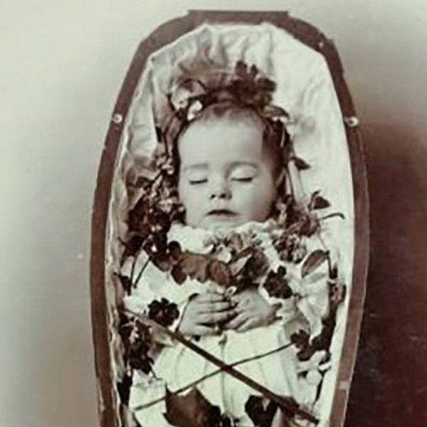 Antique Post Mortem Infant Casket Photo 320 Oddleys Strange & Bizarre