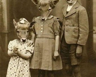 Antique Halloween Deer Family Photo 2487 Oddleys Strange & Bizarre