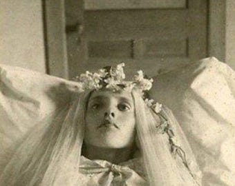 Antique Post Mortem Casket Photo 218 Oddleys Strange & Bizarre