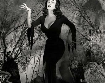 Antique Halloween Witch Photo 3872 Oddleys Strange & Bizarre