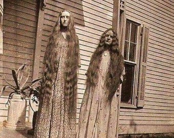 Antique Witch Sisters Photo 183 Oddleys Strange & Bizarre