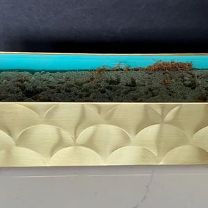 May include: A rectangular brass planter with a teal interior and a textured, scalloped exterior. The planter is filled with green moss and a touch of brown dried material, suitable for small plants or decorative arrangements.