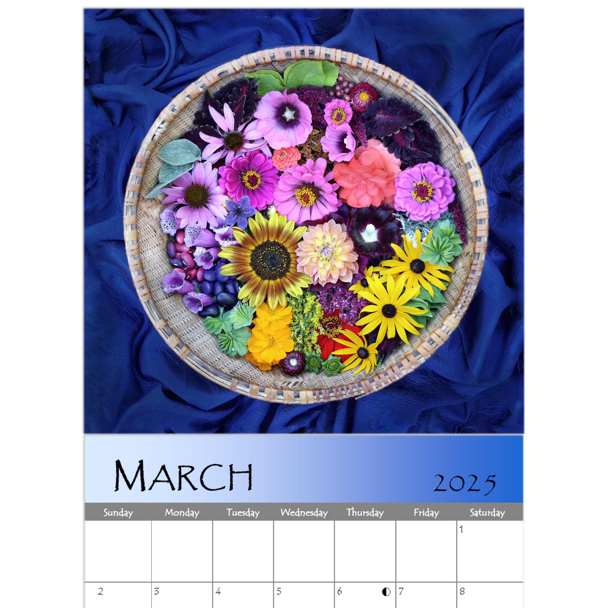 Books Meditation 2025 Wall Calendar, (Paperback Pema Chodron Books Meditation 2025 Wall Calendar, (Paperback Pema Chodron