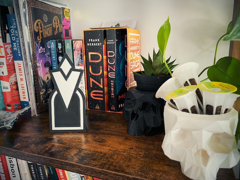 Appendiabiti da parete con segnalino missione Skyrim - Decorazione da parete per videogiochi - Regalo per fan di The Elder Scrolls immagine 2