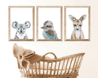 Home Decor Digital Downloads Australian Mammals Collection of 182 Public Domain Images Home Furnishing Australian Animal Images