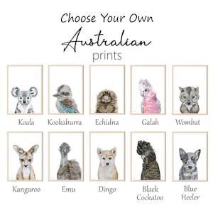 Australian animal prints Australian Nursery Prints Koala Kangaroo Wombat Cockatoo Emu Galah Echidna Kookaburra Animal Nursery Boys Nursery image 1