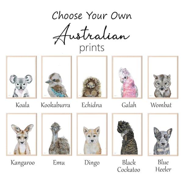 Australian animal prints Australian Nursery Prints Koala Kangaroo Wombat Cockatoo Emu Galah Echidna Kookaburra Animal Nursery Boys Nursery