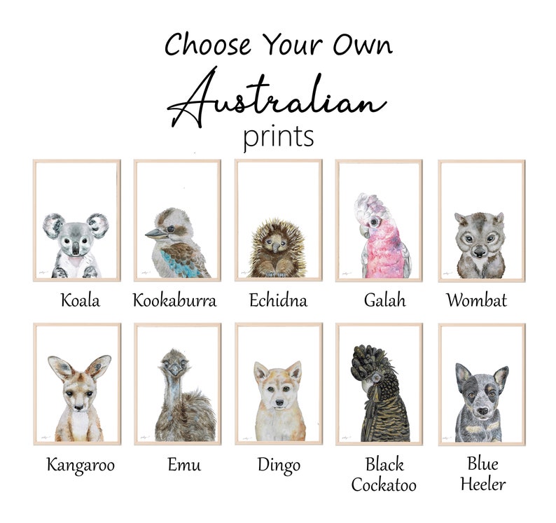 Australian animal prints Australian Nursery Prints Koala Kangaroo Wombat Cockatoo Emu Galah Echidna Kookaburra Animal Nursery Boys Nursery image 1