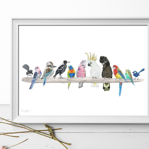 Kookaburra Print Australian Bird Print Black Cockatoo Blue Fairy Wren Rainbow Lorikeet Galah Magpie Rosella Australian Print Native Bird Art