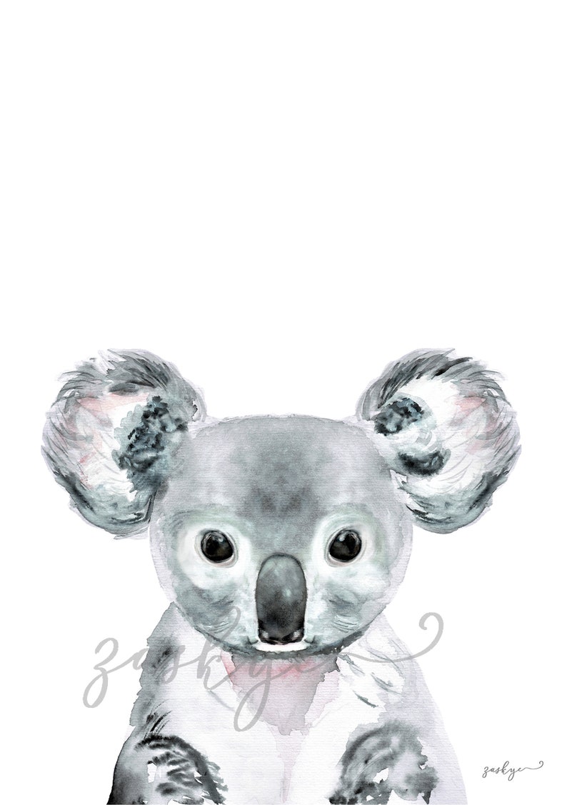 Australian Animal Prints Boys Nursery Prints Kids Wall Art Etsy Australia