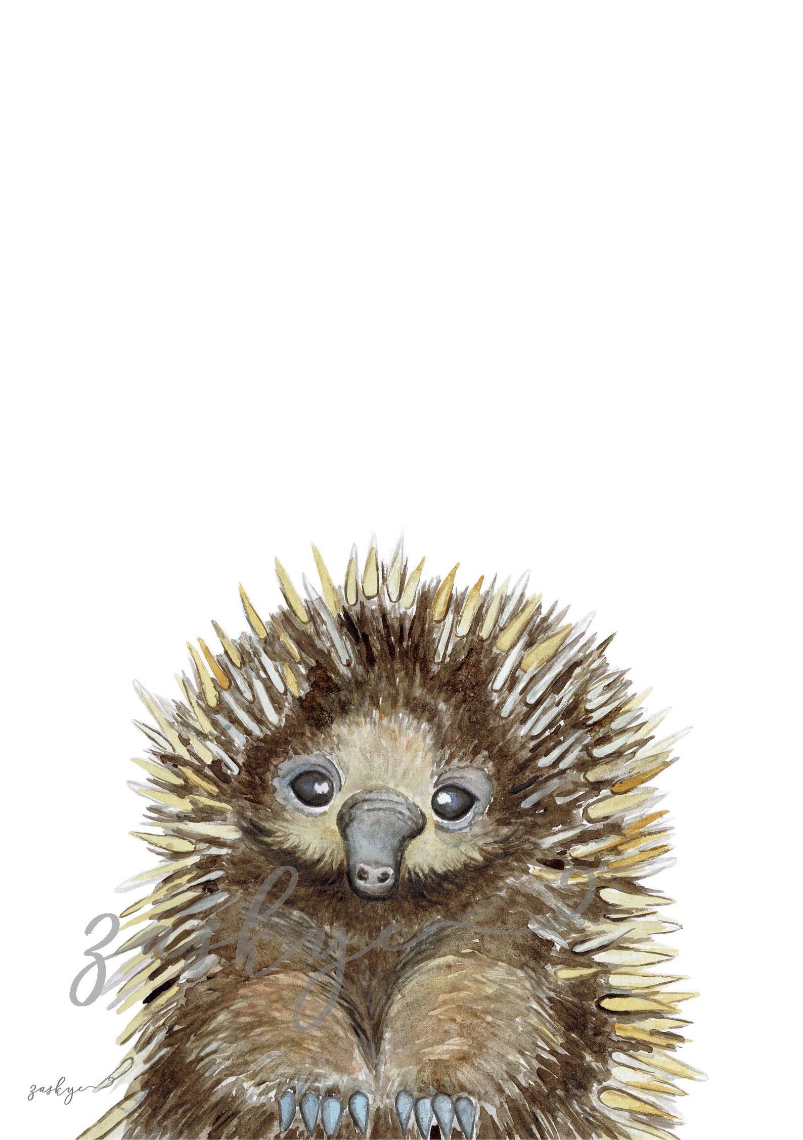 Australian Animal Prints Australian Nursery Prints Koala Etsy Australia
