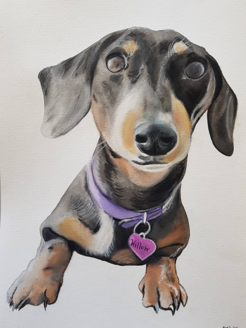 Custom Pet Portrait Dog Drawing Pet Drawing Pet Portrait Dog Painting Watercolour Pet Portrait Watercolour Portrait Pastel Portrait