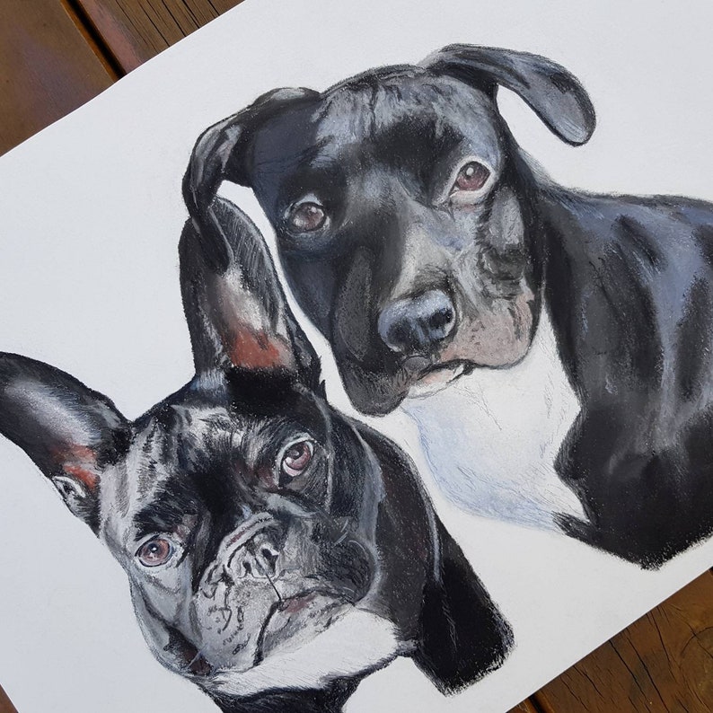 Custom Pet Portrait Dog Drawing Pet Drawing Pet Portrait Dog Painting Watercolour Pet Portrait Watercolour Portrait Pastel Portrait
