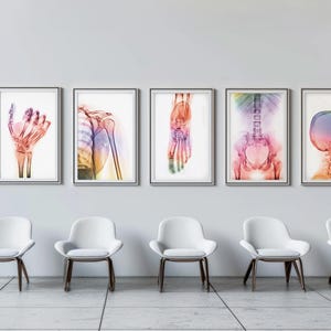 Könnte beinhalten: Fünf gerahmte anatomische Illustrationen des menschlichen Körpers in einer Wartezimmerumgebung. Die Illustrationen sind in Rosa-, Lila-, Blau- und Orangetönen gehalten. Die Illustrationen zeigen eine Hand, einen Arm, einen Fuß, ein Becken und einen Schädel.
