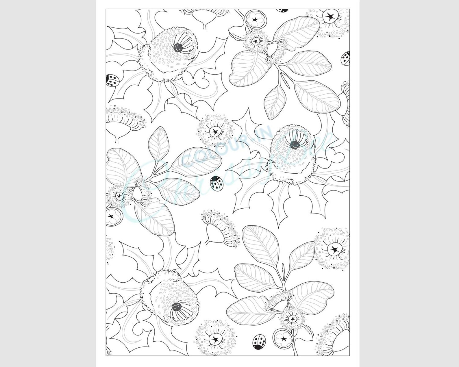 Australian Wildflower Coloring Page, Printable Adult Colouring Page