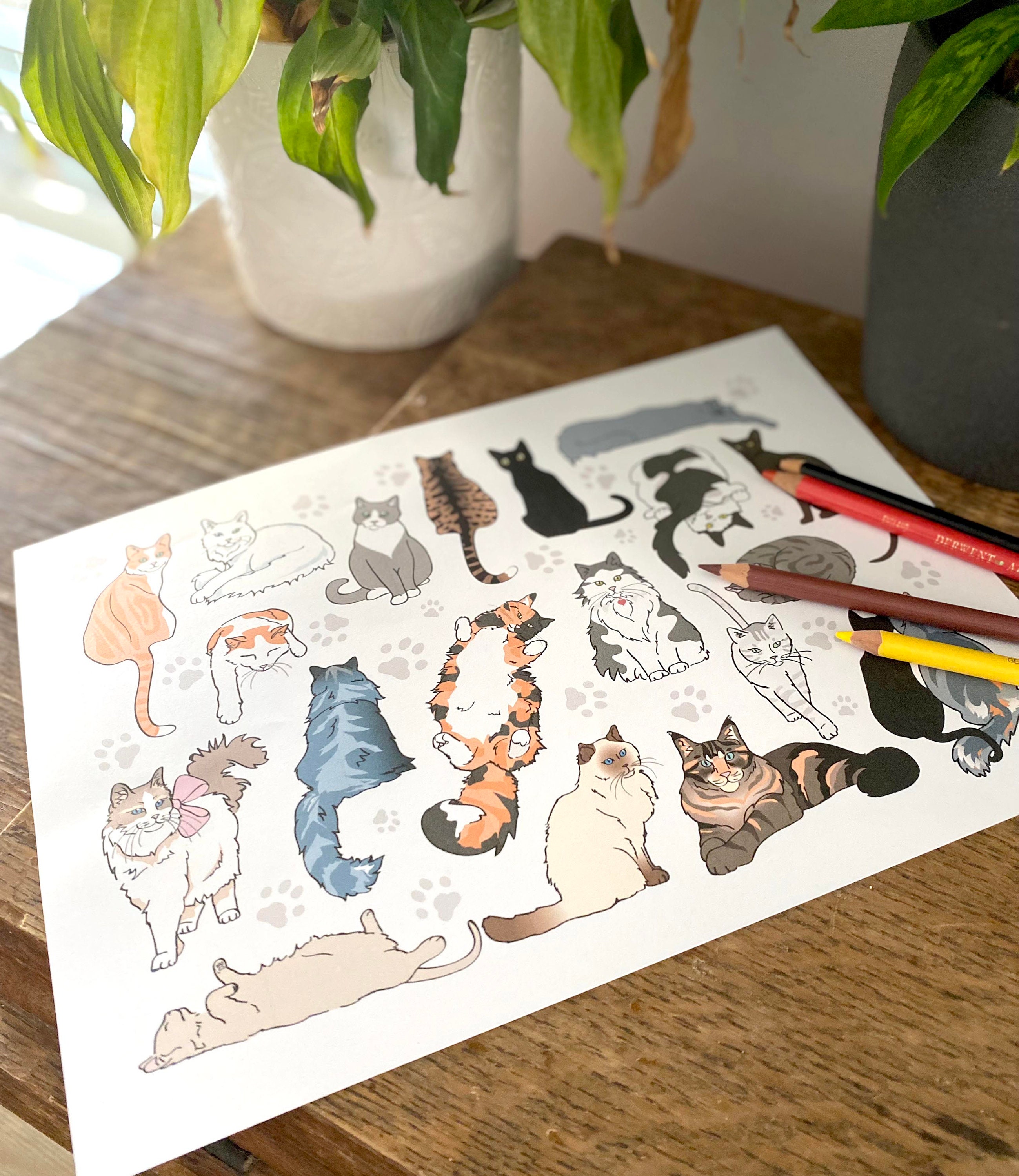 Cat Coloring Page Realistic Cat Breeds Printable Adult Colouring Page
