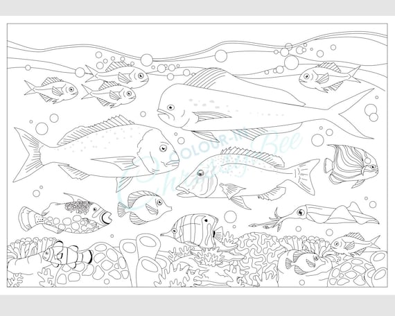 Printable Fish Coloring Page, Adult Colouring Page for Men, Ocean Fishing  Activity Sheet, A4 and Letter Sizes, Color in for Him 