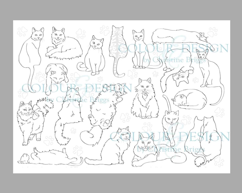 Cat Coloring Page Realistic Cat Breeds Printable Adult Colouring Page