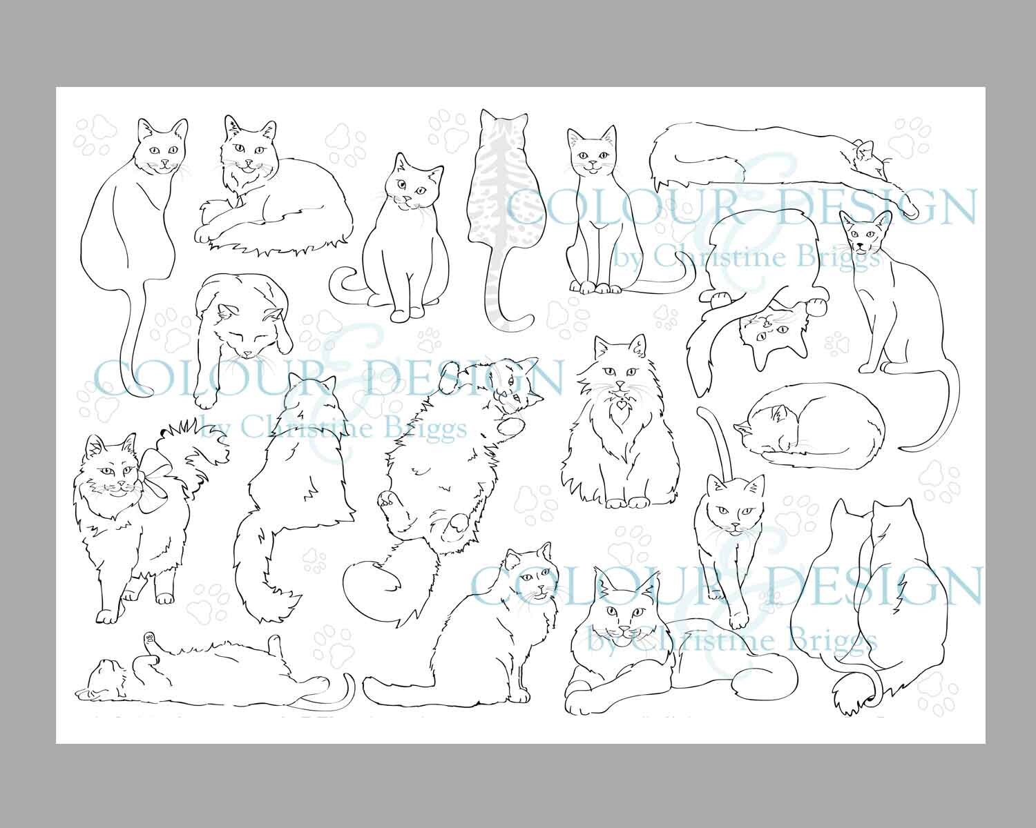 Cat Coloring Page Realistic Cat Breeds Printable Adult Colouring …