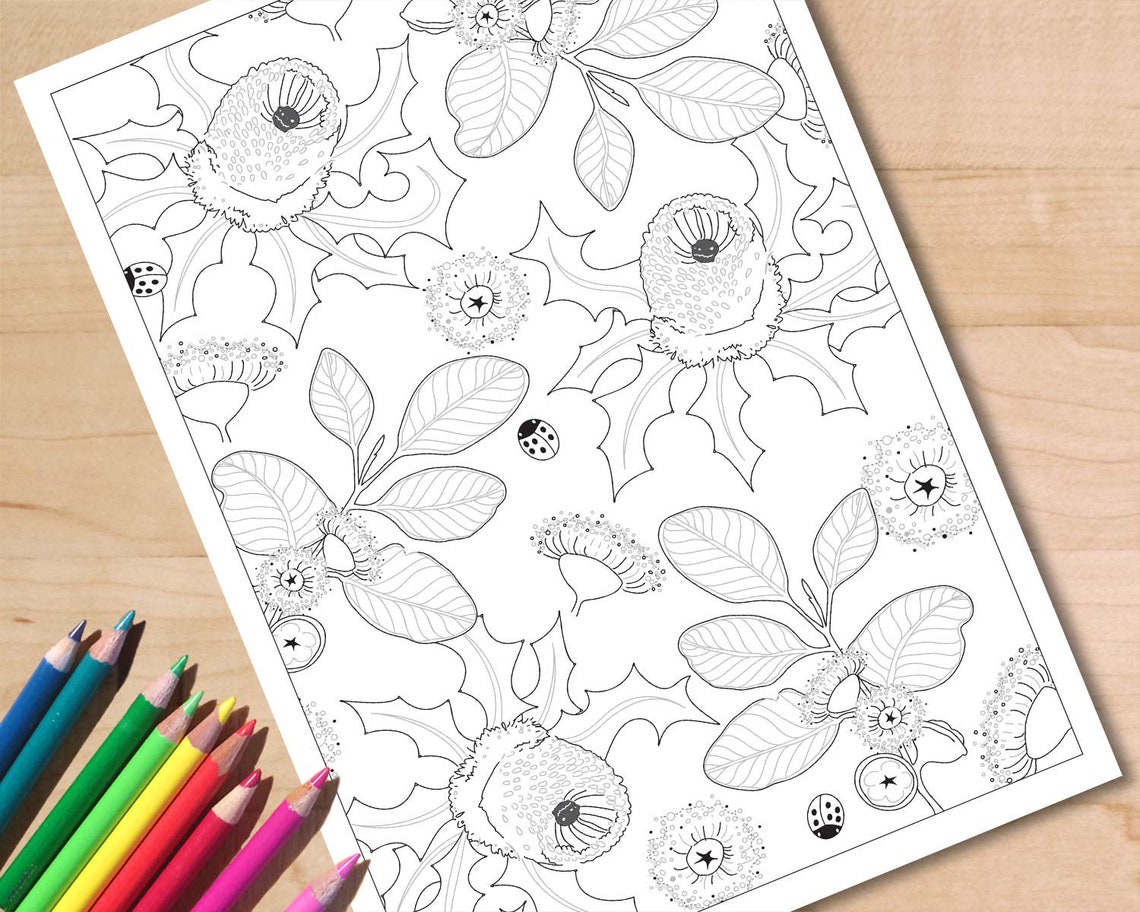 Australian Wildflower Coloring Page, Printable Adult Colouring Page ...